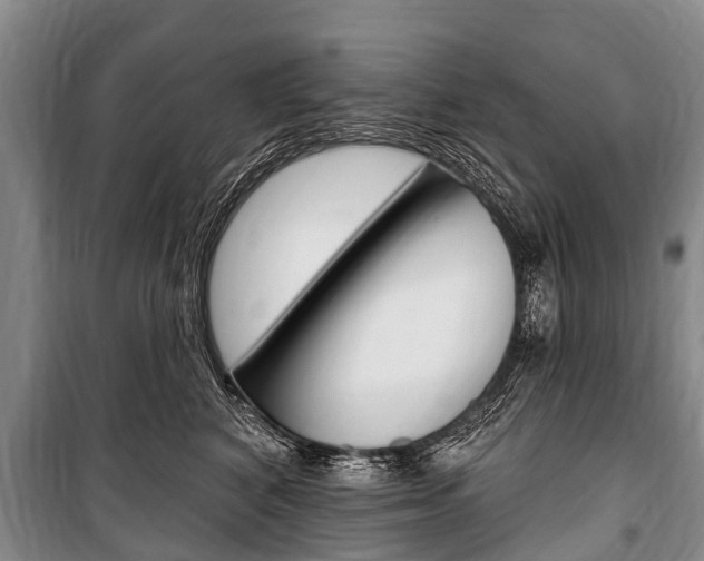 X0000101150616200806270801