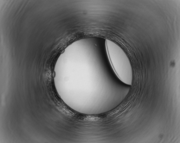 X0000101150617200806270801