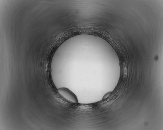 X0000101150619200806270801