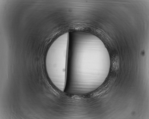 X0000101150620200806270801