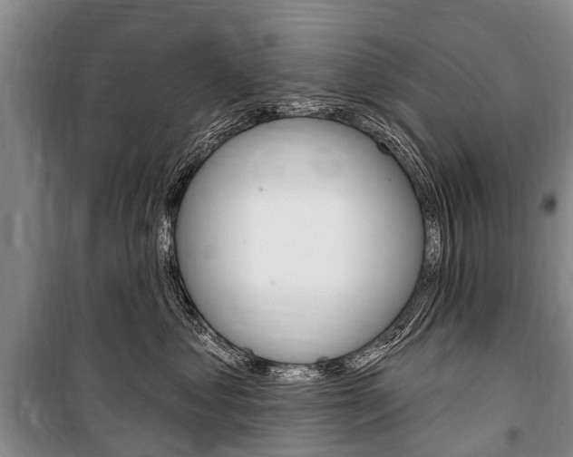 X0000101150621200806270801