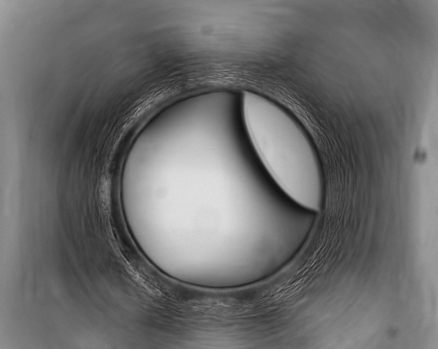 X0000101150626200806270800