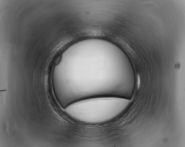 X0000101150627200806270800