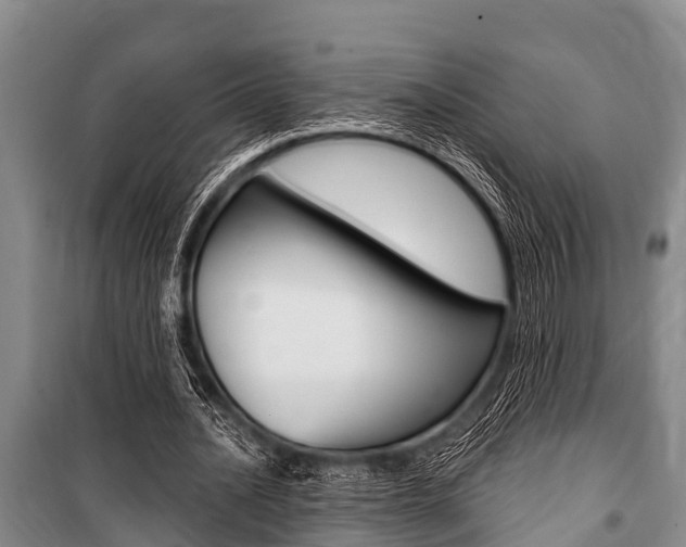X0000101150628200806270800