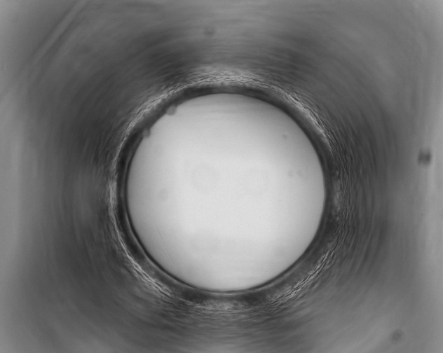 X0000101150629200806270800