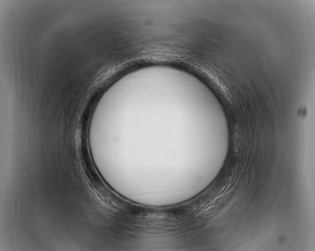 X0000101150631200806270800