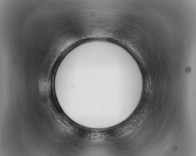 X0000101150632200806270800