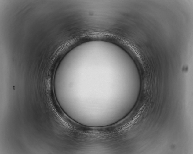 X0000101150633200806270801
