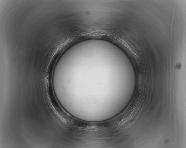 X0000101150634200806270801