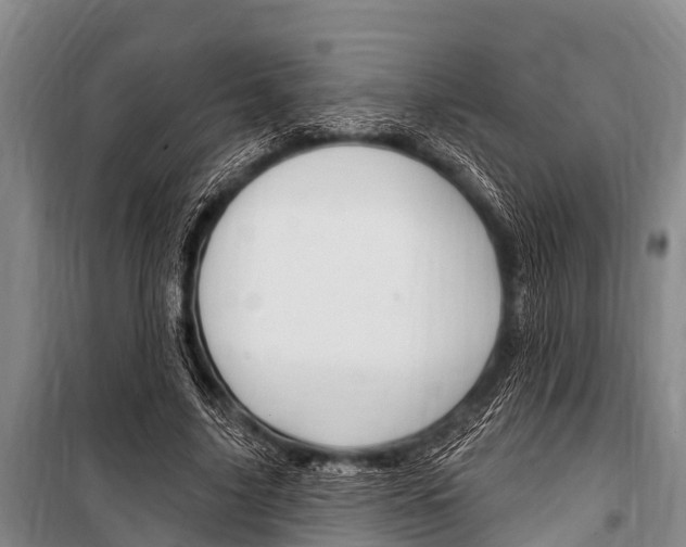 X0000101150635200806270801