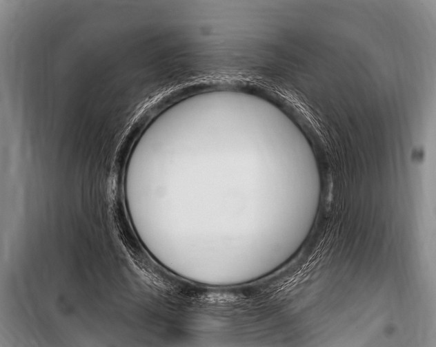 X0000101150636200806270801
