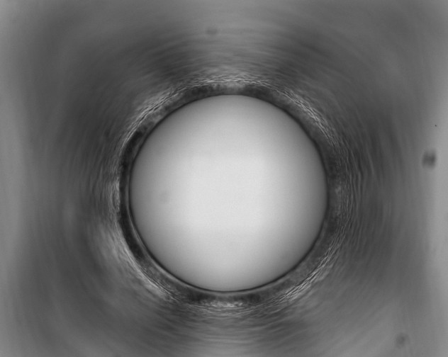 X0000101150638200806270801