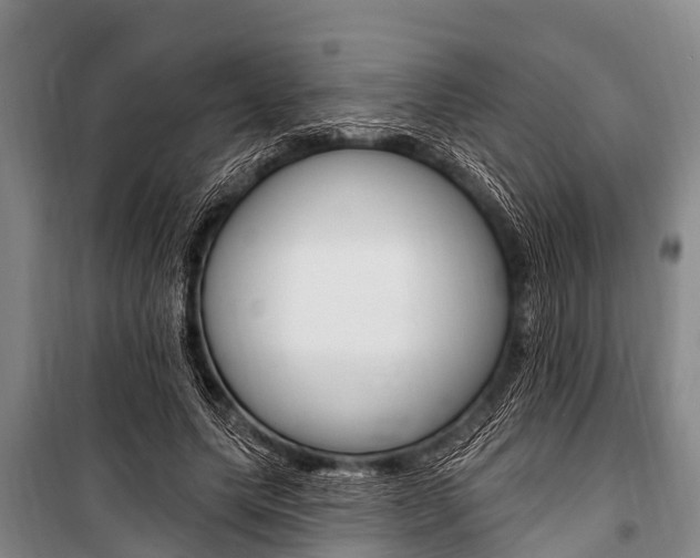 X0000101150639200806270801