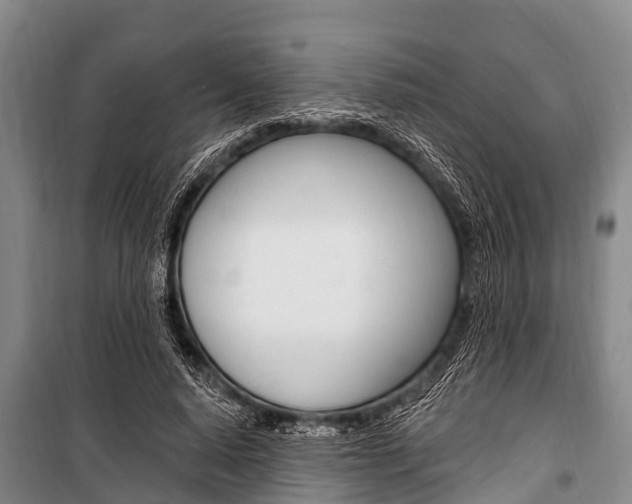 X0000101150640200806270801