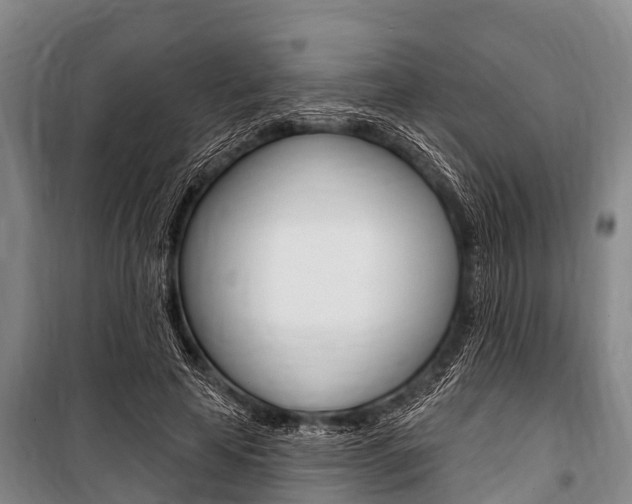 X0000101150641200806270801