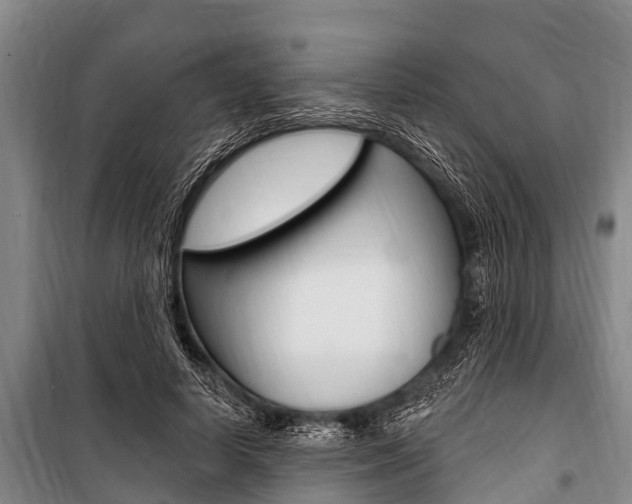 X0000101150642200806270801
