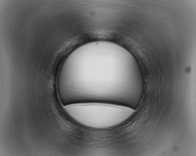 X0000101150643200806270801