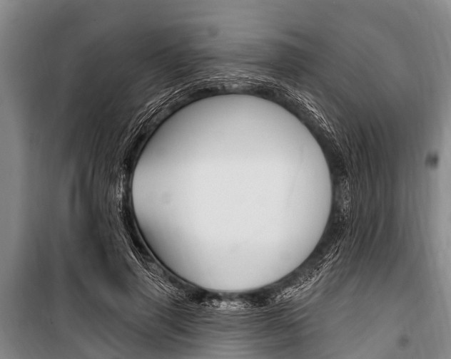 X0000101150645200806270801