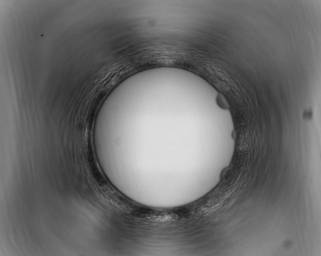 X0000101150646200806270801