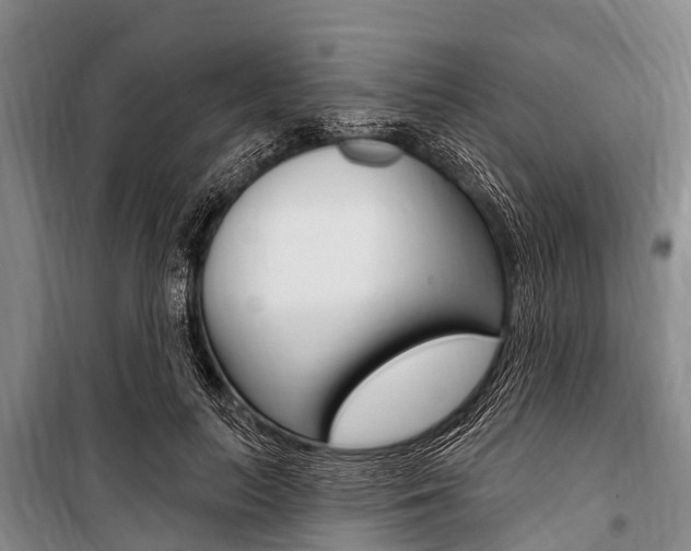 X0000101150647200806270801
