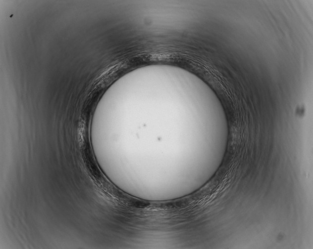 X0000101150648200806270801