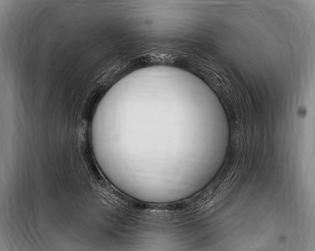 X0000101150649200806270801