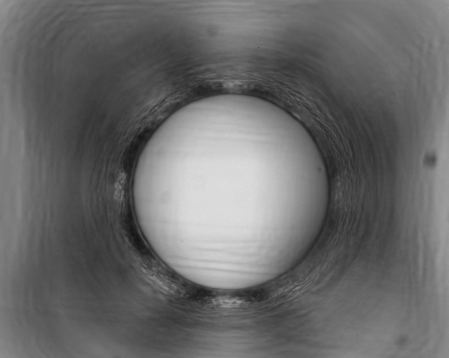 X0000101150650200806270801
