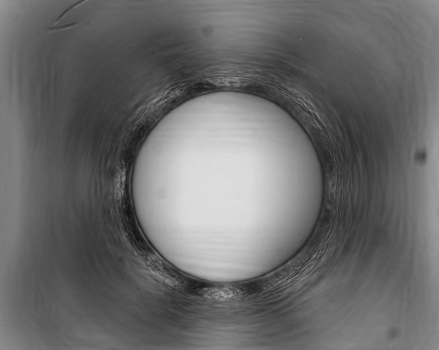 X0000101150652200806270801