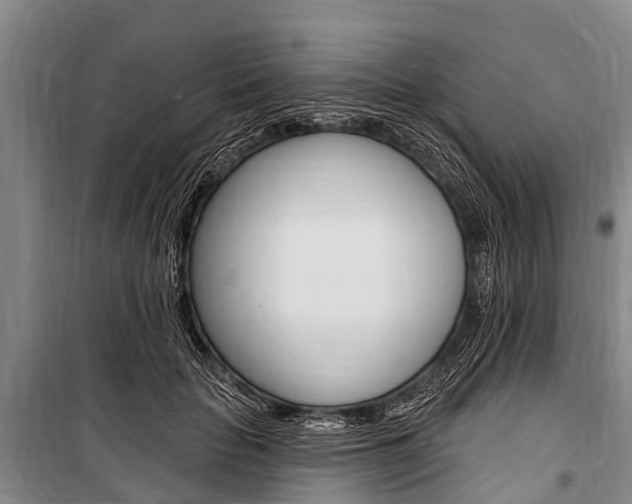 X0000101150653200806270801