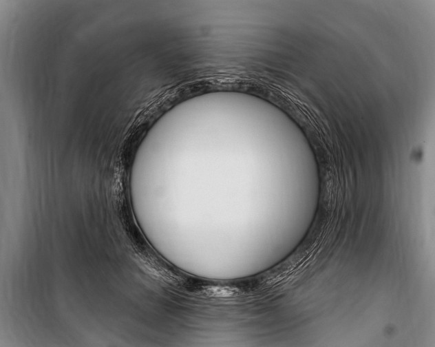 X0000101150654200806270801