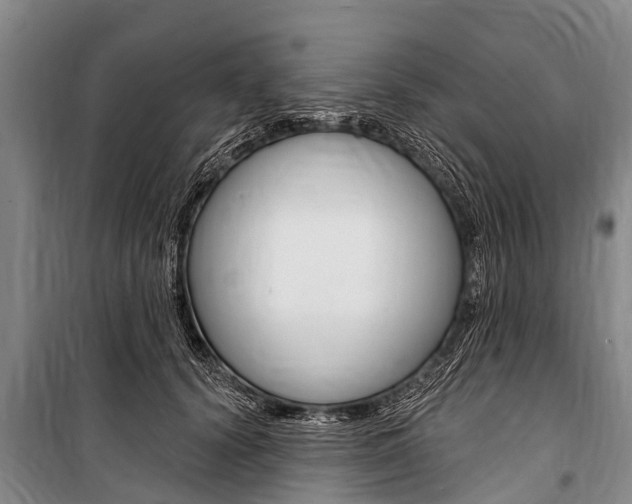 X0000101150656200806270801