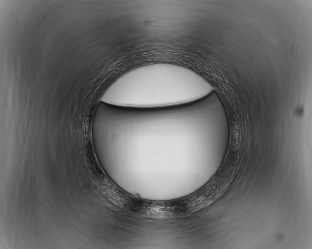 X0000101150657200806270801