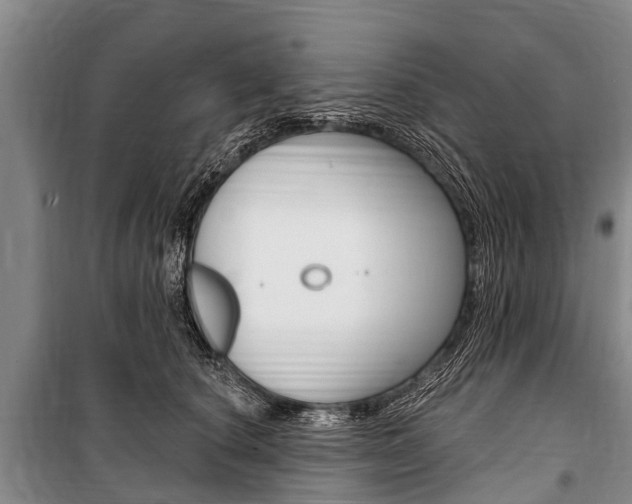 X0000101150660200806270801