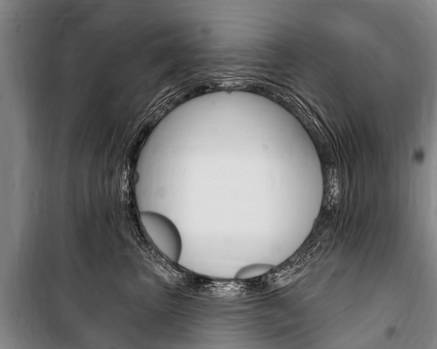X0000101150667200806270801