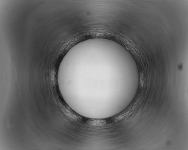X0000101150670200806270801