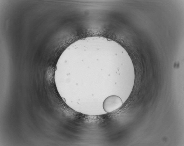 X0000101150672200806270801