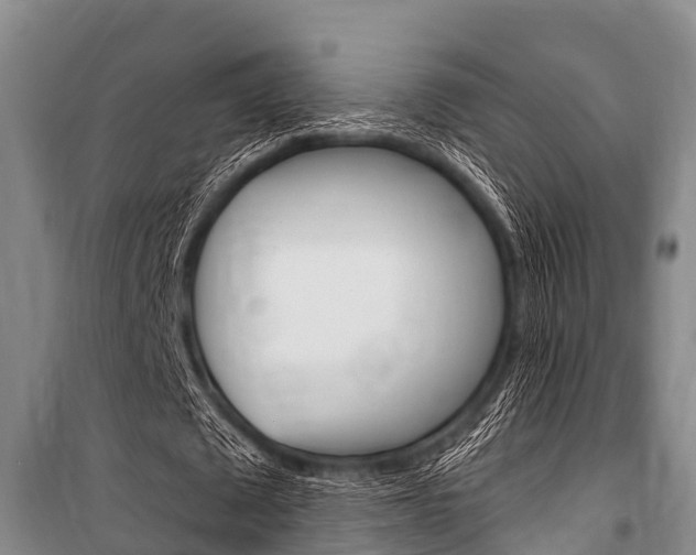 X0000101150673200806270800