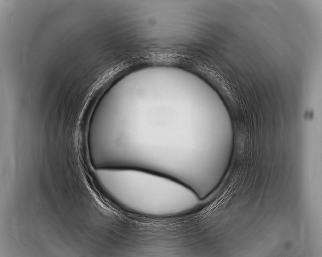 X0000101150674200806270800