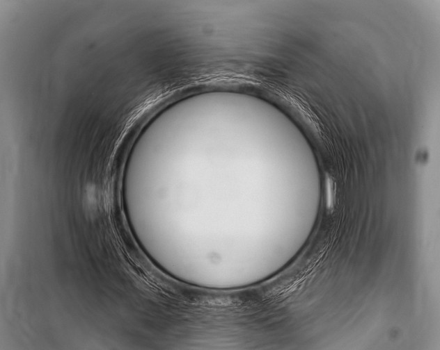 X0000101150675200806270800