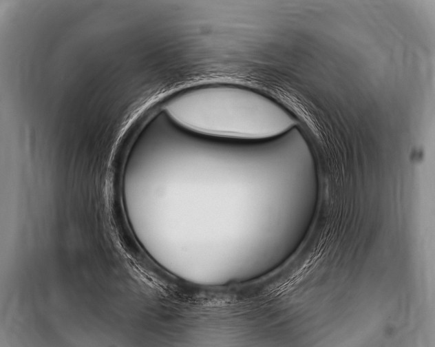 X0000101150676200806270800