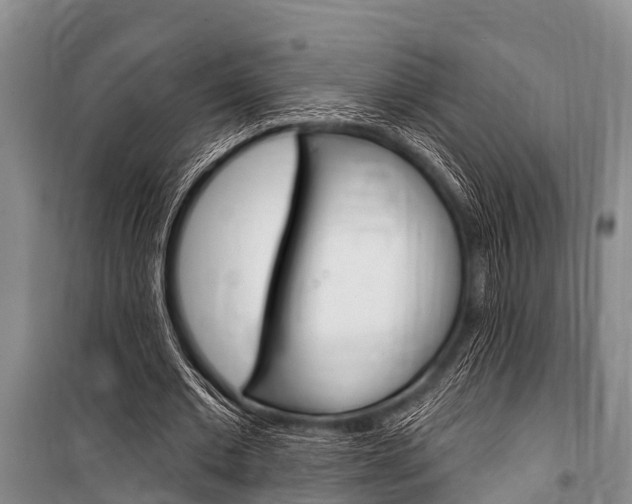 X0000101150677200806270800