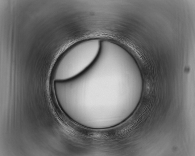 X0000101150678200806270800