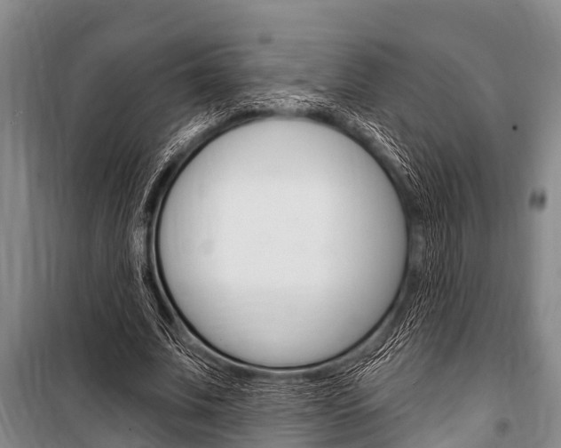 X0000101150679200806270800