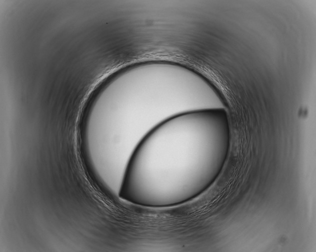 X0000101150680200806270800