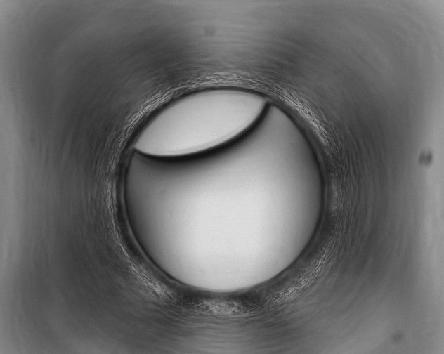 X0000101150681200806270800