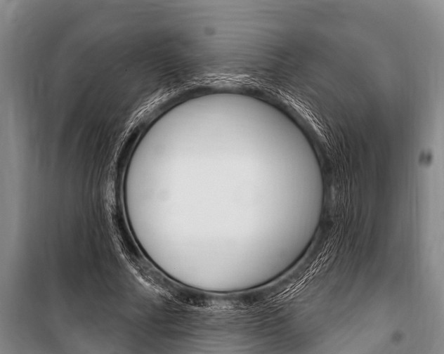 X0000101150682200806270800