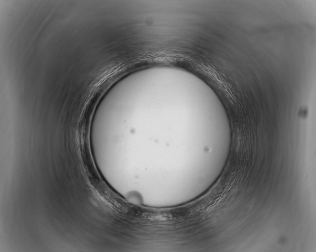 X0000101150683200806270800