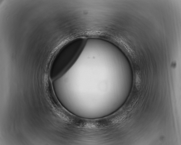 X0000101150684200806270800