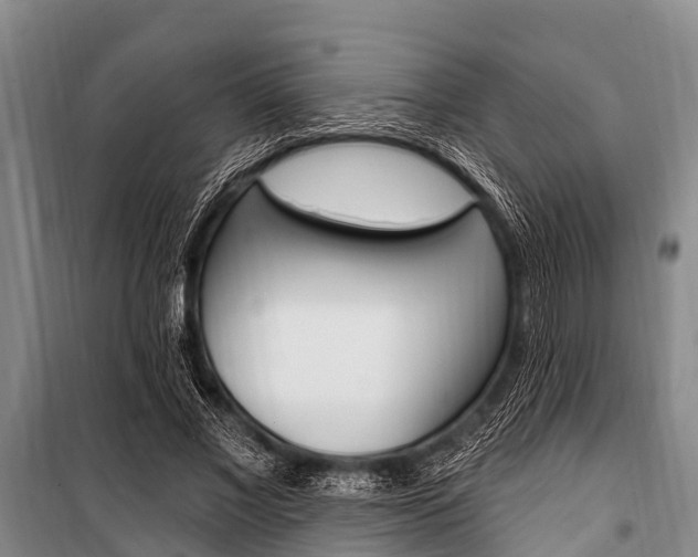 X0000101150685200806270800
