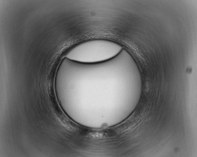 X0000101150687200806270800